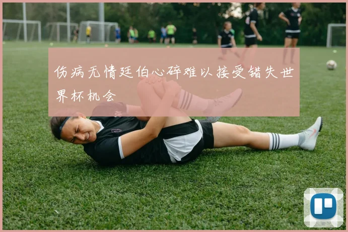 伤病无情廷伯心碎难以接受错失世界杯机会